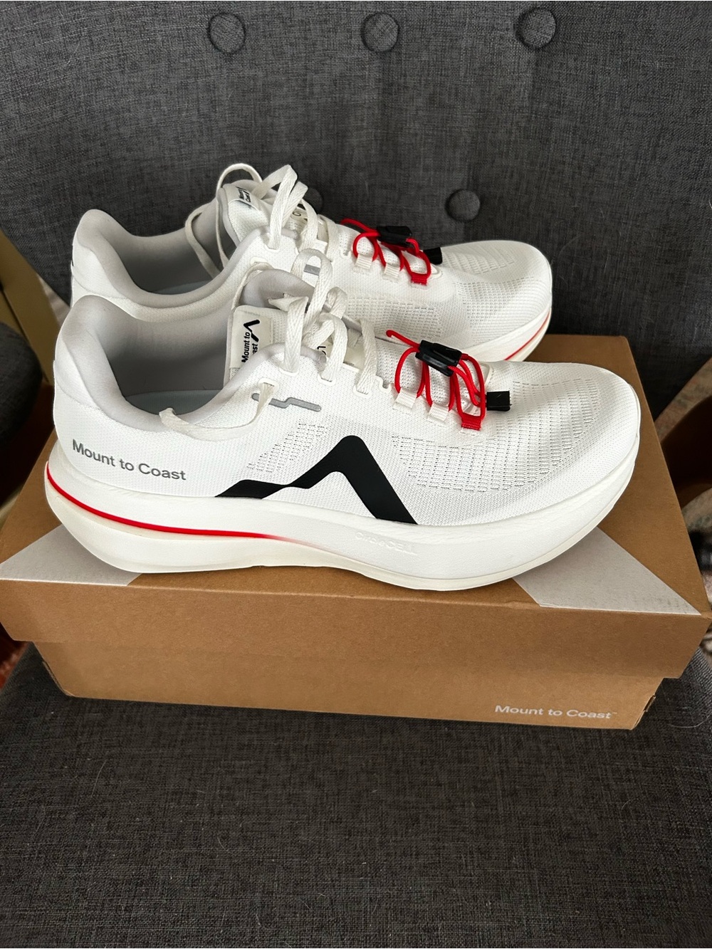 Mount to Coast C1 Running Shoes